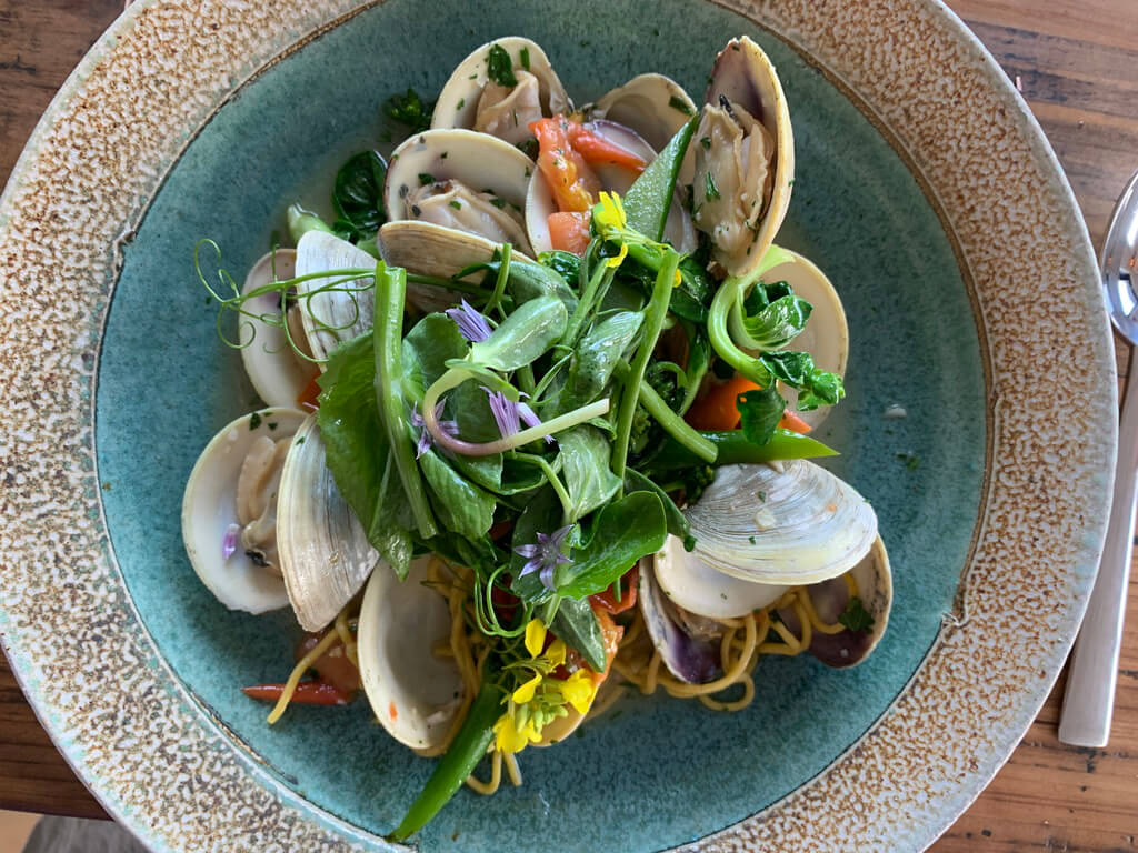 A bowl of steamed clams and salad